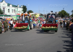 Самый огромный арбуз 2016 года получил награду в Камышине