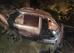 В Волгоградской области водитель погиб после столкновения с деревом