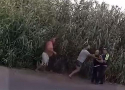 До 5 лет тюрьмы грозит волгоградцам за потасовку с полицейскими у камышей 