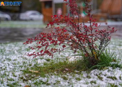 Морозы пробьются в Волгоград после аномального ноября
