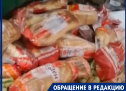 Горы хлеба выбросили в степь: волгоградцы требуют наказать виновных