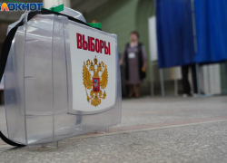 Дело облившей зеленкой во время президентских выборов урну волгоградки передано в суд