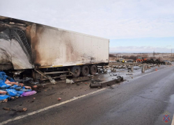 Рыжий кот погиб в шок-ДТП с горящей фурой под Волгоградом