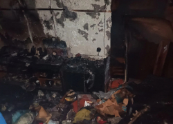 Погибло много животных: волонтер из Волгограда потеряла все в жутком пожаре на Спартановке