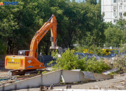 В Волгограде нашли 17,7 миллиона на ликвидацию бесивших горожан свалок: где расчистят