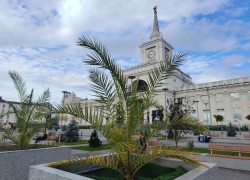 Эффективность и законность трат на озеленение проверят в Волгограде