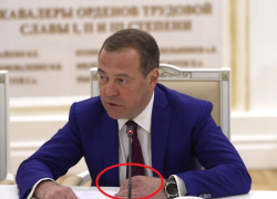 В Волгограде Медведев говорил о разгроме нацизма с синим кулаком
