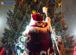 Предновогодний рабочий междусобойчик устроят депутаты в Волгограде