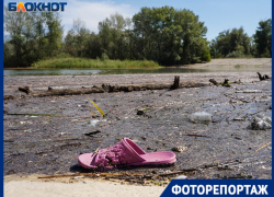 "Ерик превратился в болото": пойму под Волгоградом спасают за миллиарды рублей