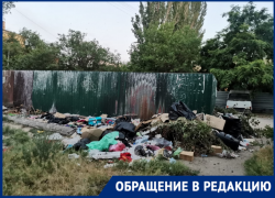 «Город-герой не может мусор победить»: свалка с крысами тянет центр Волгограда на дно