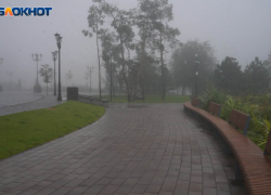 Пасмурная погода ждет волгоградцев 5 ноября