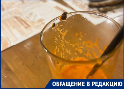 Волгоградец нашел таракана в морковном фреше в ресторане "Швейк": видео