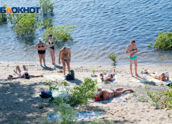 В Волгоградской области 26% пляжей признали грязными
