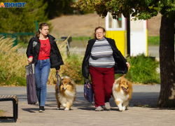 Облаками и легким морозцем завершаются длинные выходные для волгоградцев 