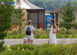 Временные удостоверения, налоги и запрет охоты: в Волгоградской области вводятся новые законы с 1 августа