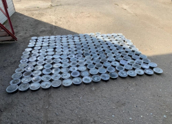 Хотели заработать пару миллионов: у двоих волгоградцев изъяли 100 кг черной икры и туши осетровых рыб