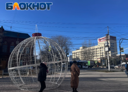 Игрушка-ловушка грозит легким удушением прохожим в Волгограде