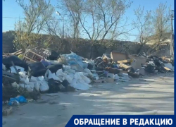 Гигантский мусорный червь вырос в волгоградском частнике