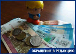 «Наш садик для богатых?»: сбор 150 рублей на Деда Мороза возмутил маму из Волгограда