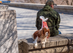 Единовременную денежную выплату до 30 июня получат волгоградцы