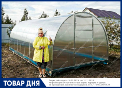 Теплицы с усиленным каркасом от завода-производителя "Поспеваево"