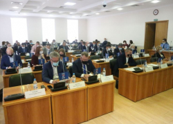 «За уничтожение кур»: в Волгограде могут распустить городскую думу