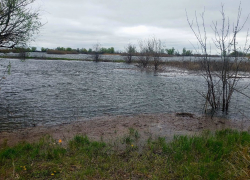 Пошла вода как надо: залитые луга поймы показал волгоградский рыбак