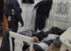 «Вы здесь барон?»: волгоградский СОБР уложил цыган лицом в пол — видео 