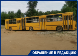 Волгоградцу запретили проезд на велосипеде к пляжу у ерика Верблюд