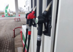 Цены на два вида бензина «замерзли» в Волгограде 