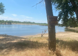 11-летняя утонула в реке Ахтуба под Волгоградом 