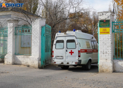 Почти тысячу жителей Волгоградской области покусали клещи