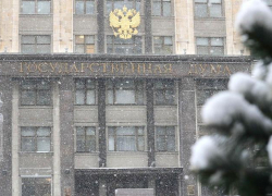 О конфликте волгоградского депутата и главного единоросса России заговорили в Госдуме