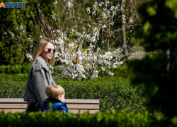 До апрельских +18 резко потеплеет в Волгограде