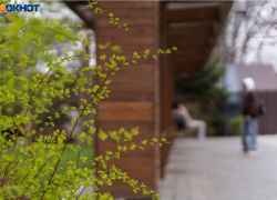 До +9 похолодает в Волгограде при непрекращающемся дожде