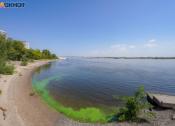 Волгоград накрыла очередная волна фейков о холере в воде