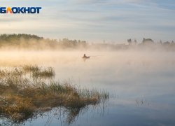 Специальный режим введен в Волгоградской области с 20 марта