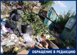"30 миллиардов на мусорную реформу - крысам под хвост?": в Волгограде перестали вывозить отходы