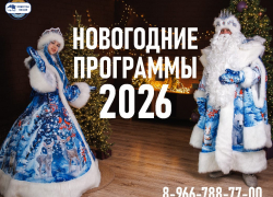 Новогоднее приключение с квестами и интерактивами. 2000 руб/чел. 