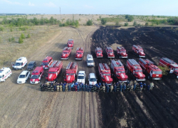 Молния ударила в сосну: в Волгограде назвали причину крупного лесного пожара