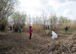 Столб дыма заметили у легендарного «Гасителя» в Волгограде