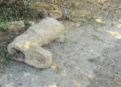 Закопанную ногу Сталина нашли на трехметровой глубине в Волгограде 