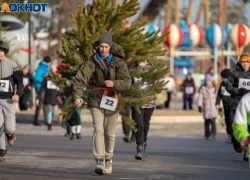 Почти в два раза подорожали новогодние ели в Волгограде