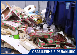Клубничную свалку нашли в Волгограде