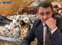 Госдумский борец с «собачьей сектой» заявил об угрозах в свой адрес и потребовал принять меры к зоошизе