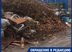 Чиновники разрешили волгоградцам платить на 9% больше за свалки у домов