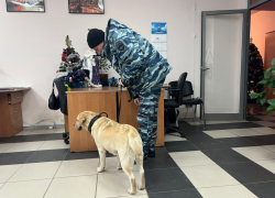 Взрывчаткой с ртутными ампулами пугает волгоградцев «маньяк-террорист»