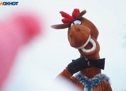 Масштабы безотцовщины и другие тренды демографии раскрыли волгоградские ЗАГСы