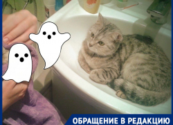 Рабочие-призраки больше месяца мешают волгоградцам принять горячий душ