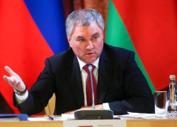 Спикер Государственной думы прилетит в Волгоград 7 августа